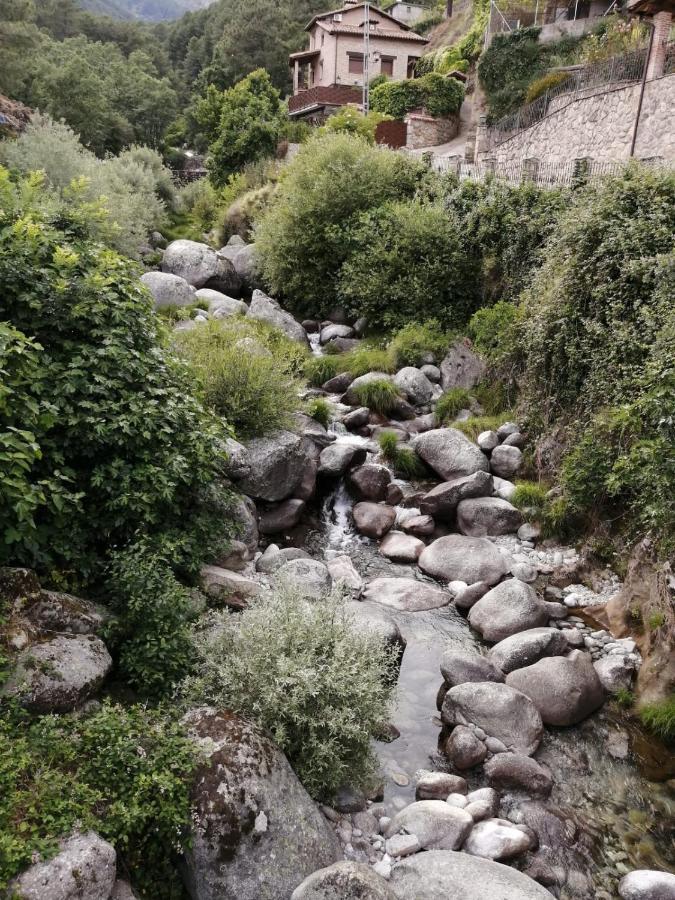 Apartmán La Estrella De Gredos Guisando Exteriér fotografie